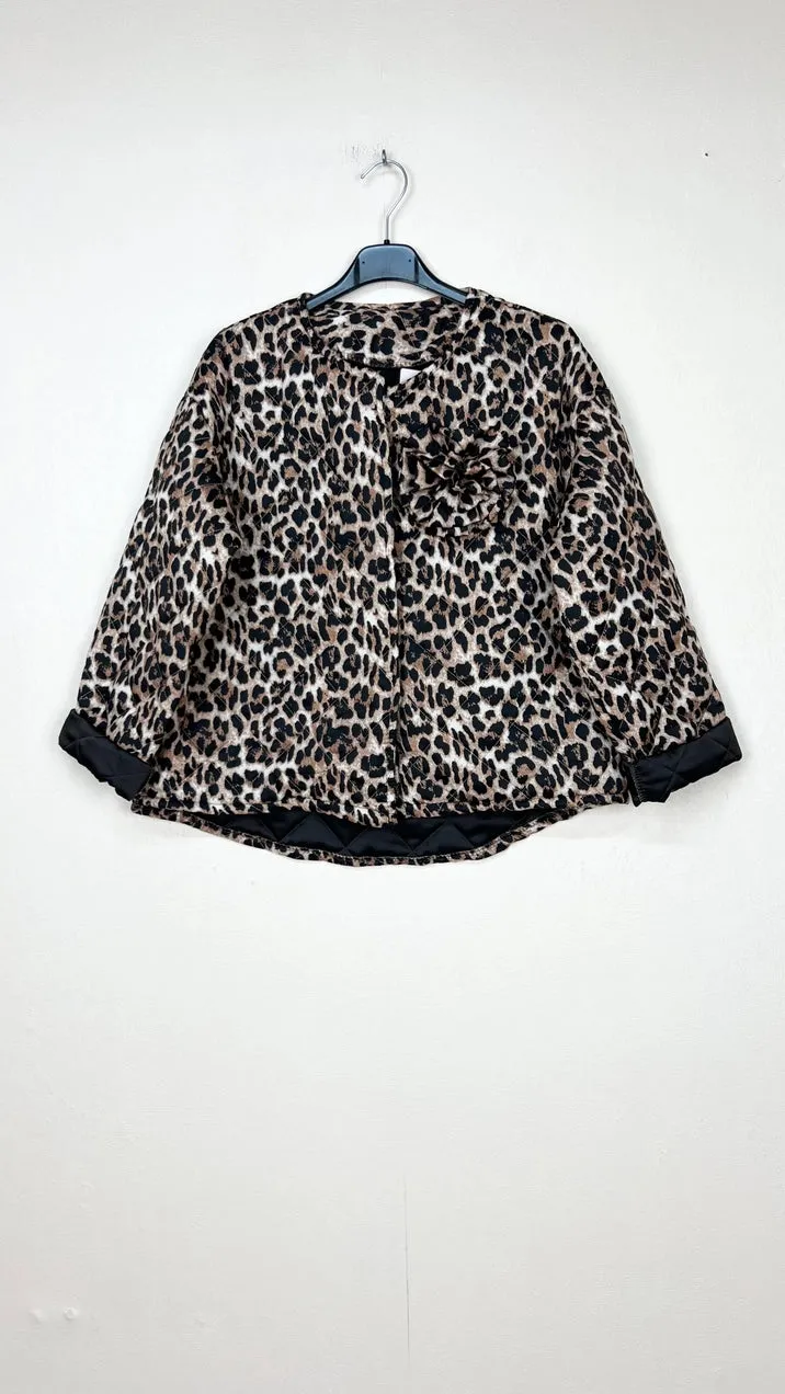 Leopard pattern coats, with colored background