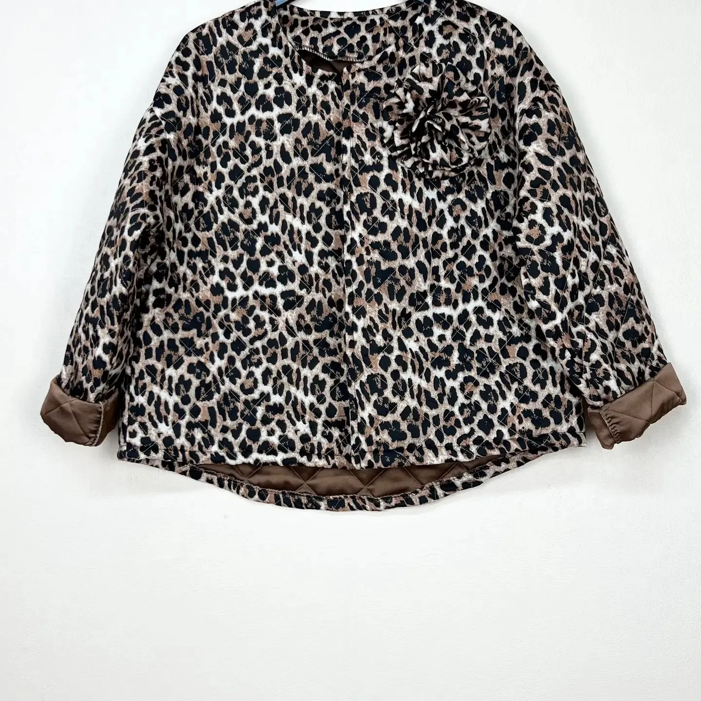 Leopard pattern coats, with colored background