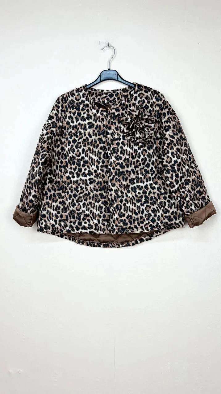 Leopard pattern coats, with colored background