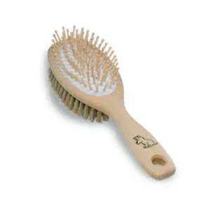 Pet Brush